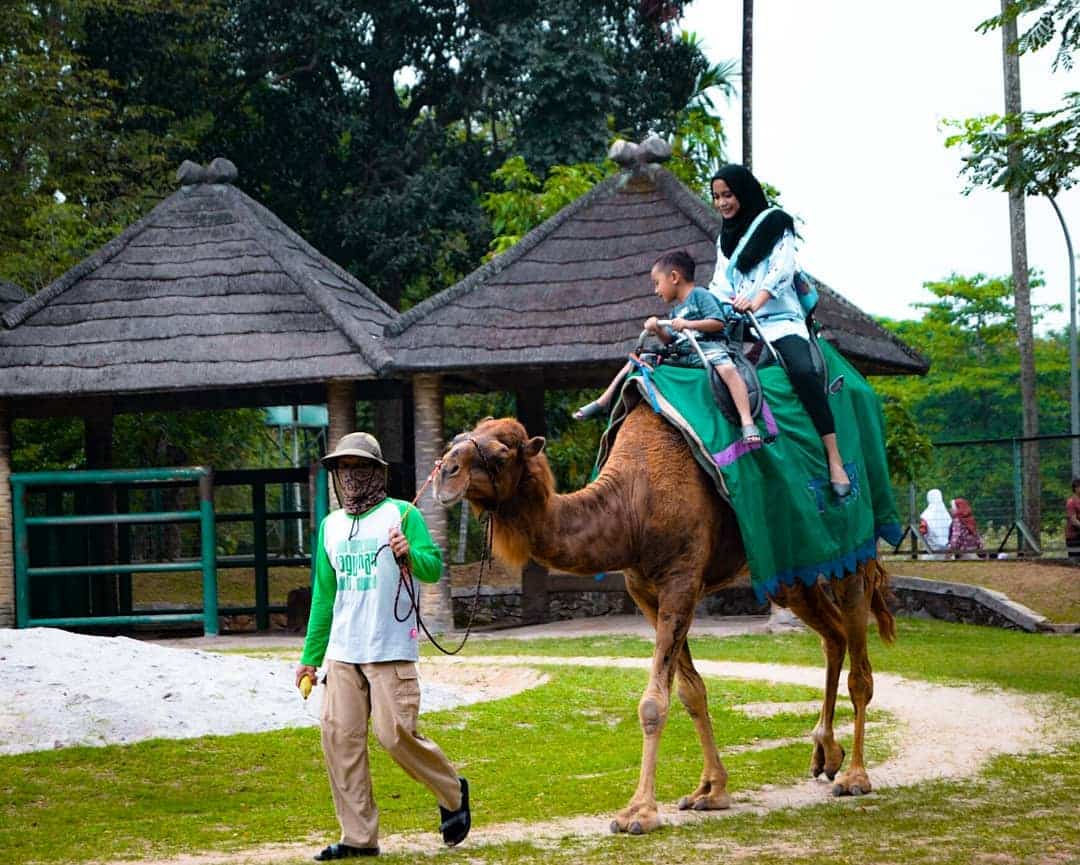 Kebun Binatang Ragunan Jakarta Selatan